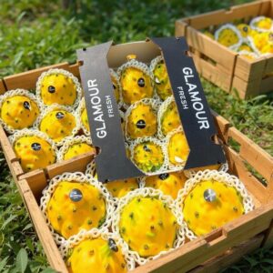 Fructul dragonulul galben (pret per kg)