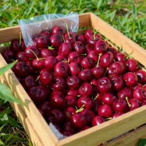 Cirese 500g